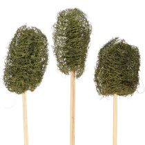 gjenstander Luffa liten agurk på pinne, mørk grønn, 5-7 cm, 25 stk