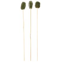 gjenstander Luffa liten agurk på pinne, mørk grønn, 5-7 cm, 25 stk