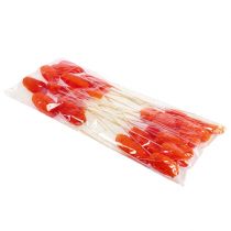 gjenstander Luffa liten på pinne appelsin 25 stk