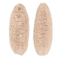 gjenstander Luffa stor bleket 20 stk