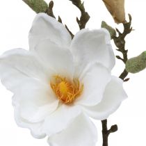 Magnolia hvit kunstig blomst med knopper på deco gren H40cm