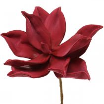 gjenstander Kunstig magnolia rød kunstig blomsterskum blomsterdekor Ø10cm 6stk