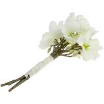 gjenstander Magnolia bunt hvit 40cm 5 stk