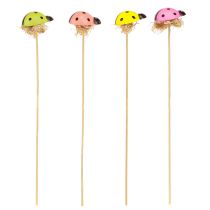 gjenstander Ladybug dekorative blomsterplugger trefarget 3,5cm 24 stk