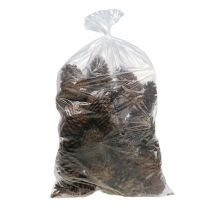 gjenstander Maritima kjegler 14/18 naturell 25 stk