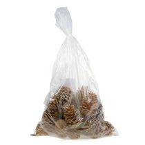 gjenstander Maritima kjegler krem-vanilje blandet 5-18 cm 25 stk