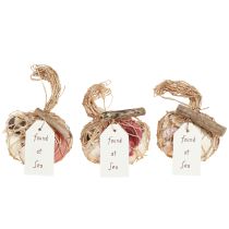 gjenstander Maritim dekorativ skjellblanding i et nett, fargerik, 3,5–6 cm, 300 g × 3 stk.