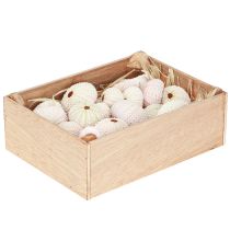 gjenstander Maritim dekorasjon kråkebolle skall rosa, hvit strødekor 20 stk