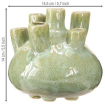 gjenstander Maritim Dekor Vase Coral Design Lysegrønn Ø14,5cm H14cm