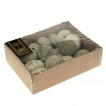 gjenstander Nautisk dekorasjon kråkebolledekorasjon grønn sommerdekorasjon Ø5-6cm 15 stk