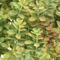 gjenstander Mini sukkulent kunstig grønn kunstplante med stilk H23cm