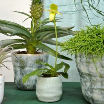 Mini cachepot, keramikkkar, dekorativ lykt, plantepotte bølgemønster Ø8cm 6stk