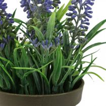 gjenstander Mini lavendel i potte kunstig plante lavendel dekorasjon H16cm