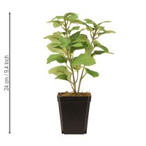 gjenstander Mint in Pot Kunstige Urter Grønn Plante H24cm