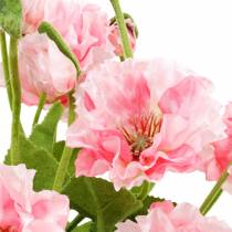 gjenstander Orientalsk valmue, kunstig blomst, valmue i rosa gryte