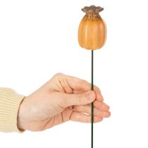 gjenstander Valmuefrøkapsel til hagepinne - dekorativt høydepunkt for hagedekorasjon og gjør-det-selv-prosjekter - 41 cm, 4 stk.