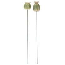 gjenstander Valmuefrøkapsler hagepynt for sjarmerende hagearrangementer 60 cm 2 stk