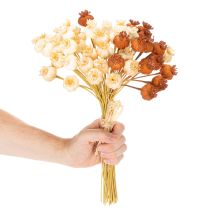 gjenstander Tørkede kunstige valmuefrøkapsler, bunt med tre farger, 40 cm, 45 stk.