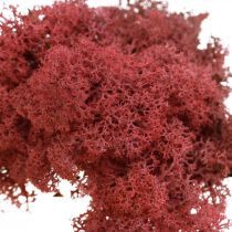 Dekorativ mose til håndarbeid Rødfarget naturmose i 40g pose