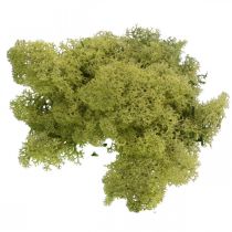 Dekorativ mose for håndverk Lysegrønn naturlig mose konservert 40g