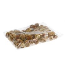 gjenstander Sabulosum kjegler krem 500g