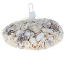 gjenstander Skallpynt mini cockles sneglehus 1-3cm 340g