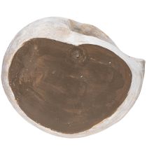gjenstander Dekorativ snegleformet beholder for maritim og naturlig veggdesign, grå, 21 cm