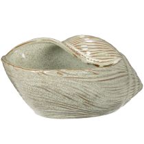 gjenstander Keramikkskål med skjelldesign for elegant dekorasjon i stuen, 23 cm