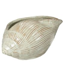 gjenstander Keramikkskål med skjelldesign for elegant dekorasjon i stuen, 23 cm