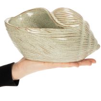 gjenstander Keramikkskål med skjelldesign for elegant dekorasjon i stuen, 23 cm