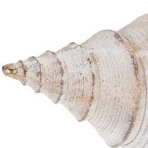 gjenstander Dekorativ skjellform for stilig maritim dekorasjon, 44 cm