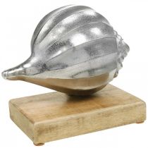 gjenstander Skall laget av metall, maritim dekorasjon for å plassere sølv, naturlige farger H15cm B18,5cm