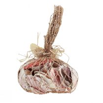 gjenstander Skalldekorasjon ekte skjell forskjellige typer 300g