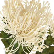 gjenstander Nålepute kunstige blomster eksotiske Protea Leucospermum krem 73cm 3stk