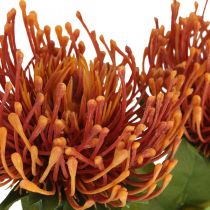 gjenstander Nålepute eksotisk kunstig blomst appelsin Leucospermum Protea 73cm 3stk