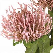 gjenstander Høstblomst nålepute kunstig Protea Rosa Leucospermum 73cm 3stk