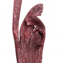 Natraj Thorn Wood Mix Rød, vasket hvit 10 stk