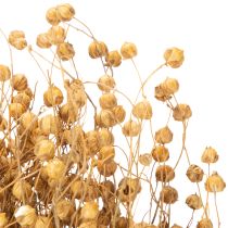 gjenstander Naturlig tørket lingress for tørkede blomsterarrangementer Linum Natur 60cm 180g