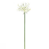 gjenstander Nerine Guernsey Lily Kunstig Blomst Hvit Gul Ø15cm L65cm