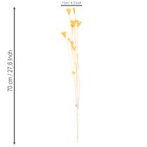 gjenstander Tørket Nigella-blomsterarrangement for langvarig bruk. Elegant blikkfang. 70 cm 50 g