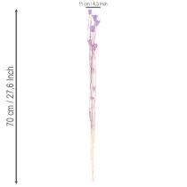 gjenstander Tørkede Nigella-blomsterbuketter, dekorative i stuen, skaper en unik atmosfære, 70 cm, 50 g