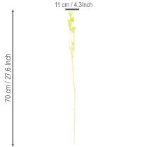 gjenstander Tørkede Nigella-blomster, sjarmerende naturlig romdekorasjon til hjemmet, 70 cm, 50 g