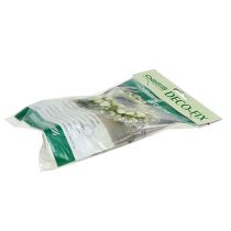 gjenstander OASIS® Deco-Fix 10 stk