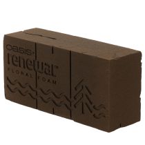 gjenstander Oasis Renewal Blomsterskum 23cm 1 Kloss