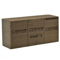 gjenstander Oasis NatureSource Maxlife Floral Foam Murstein Brun 23×11×7,5 cm 1 stk.