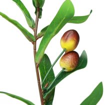 gjenstander Olivengren kunstig oliven dekorativ gren 45cm