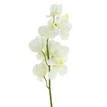 Kunstig orkidekrem 50cm 6stk
