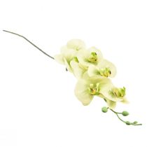 gjenstander Orkidé Kunstig Gul Grønn Phalaenopsis L83cm