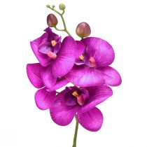 Orchid Artificial Phalaenopsis 4 blomster Fuchsia 72cm