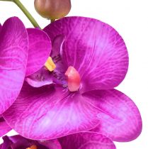 gjenstander Orchid Artificial Phalaenopsis 4 blomster Fuchsia 72cm